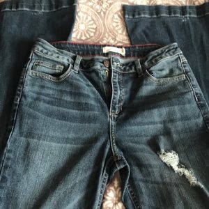 Cello Flare bottom jeans
